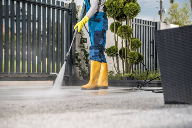 Best Driveway Cleaning and Restoration in Moss Point, MS